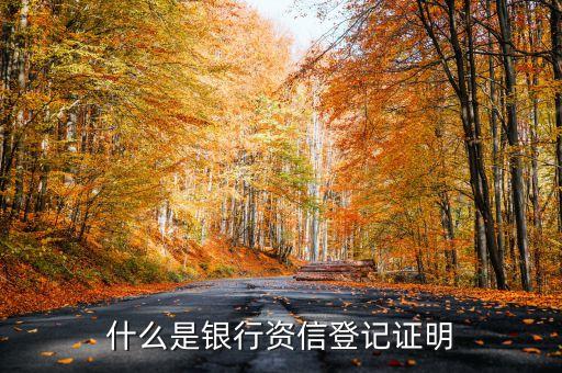 什么是银行资信登记证明