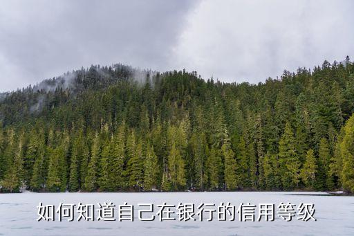 如何知道自己在银行的信用等级