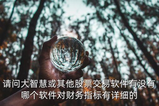 请问大智慧或其他股票交易软件有没有哪个软件对财务指标有详细的