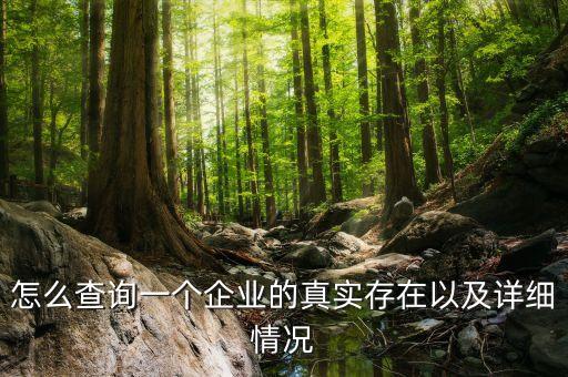 怎么查询一个企业的真实存在以及详细情况