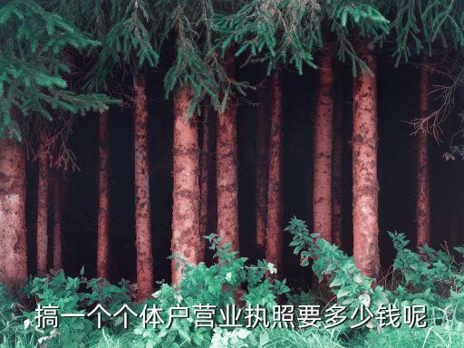 搞一个个体户营业执照要多少钱呢