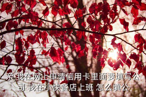 自己的开公司信用卡怎么填，申请信用卡的单位名称应该填什么