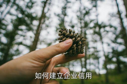 怎么做一家有信用的公司，公司怎么样算有诚信