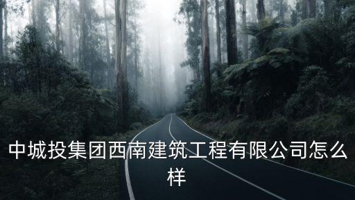 中国城投建设集团简介，中城投股份有限公司怎么样