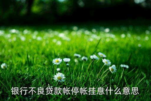 没有逾期停息挂账，银行不良贷款帐停帐挂息什么意思