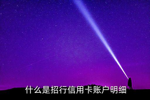 什么是招行信用卡账户明细