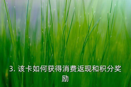 民生银行信用卡in卡年费，民生银行信用卡年费“IN卡”方案