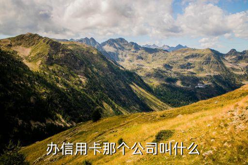办信用卡那个公司叫什么