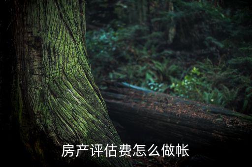 付信用评估公司款怎么做账，单位贷款发生的评估等一切费怎样做帐务处理