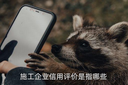 施工企业信用评价是指哪些