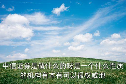 中信证券是做什么的呀是一个什么性质的机构有木有可以很权威地