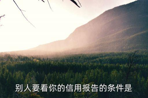 查看信用报告的条件，查询个人信用需要什么条件
