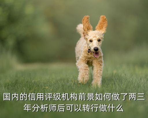 国内的信用评级机构前景如何做了两三年分析师后可以转行做什么