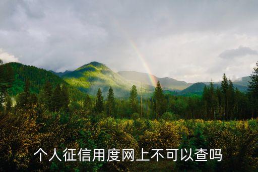 个人征信用度网上不可以查吗