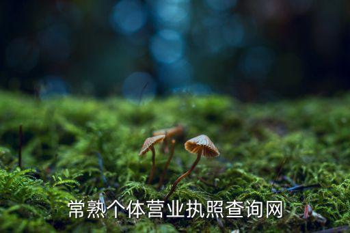 常熟个体营业执照查询网