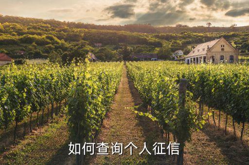 如何查询个人征信