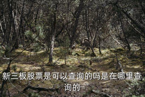 新三板公司查询网，我想知道一个公司的新三板公司的详细工商信息在什么软件网站可以