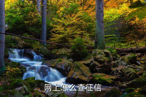 网上怎么查征信