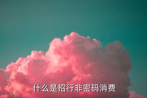 什么是招行非密码消费
