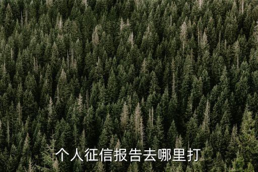 个人征信报告去哪里打