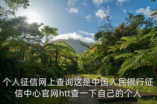 国家信用中国官网查询系统，个人征信问题在哪里查询