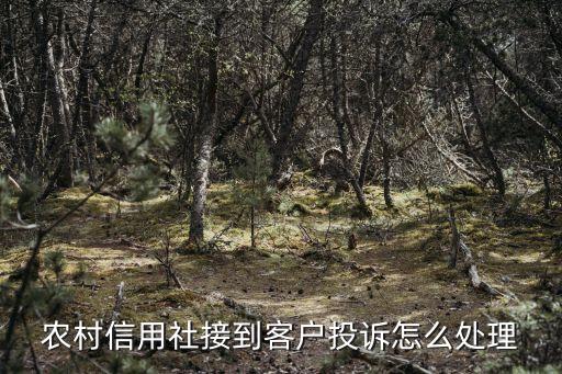 农村信用社接到客户投诉怎么处理