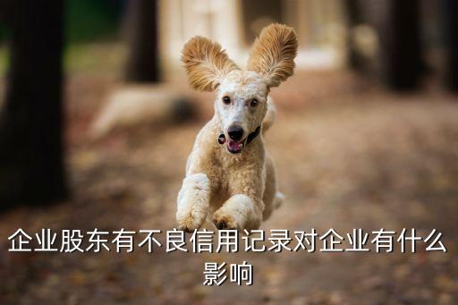 企业股东有不良信用记录对企业有什么影响
