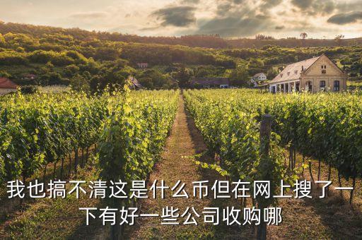 我也搞不清这是什么币但在网上搜了一下有好一些公司收购哪