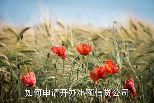 如何能够办好信用贷款公司，如何开信贷公司