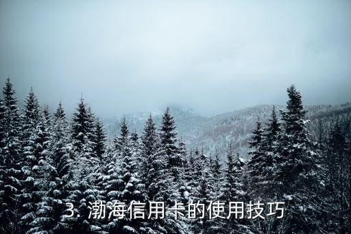 渤海信用卡，渤海银行信用卡，让信用更自由