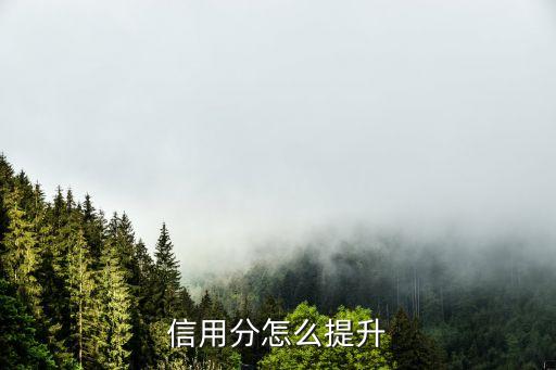 信用分怎么提升