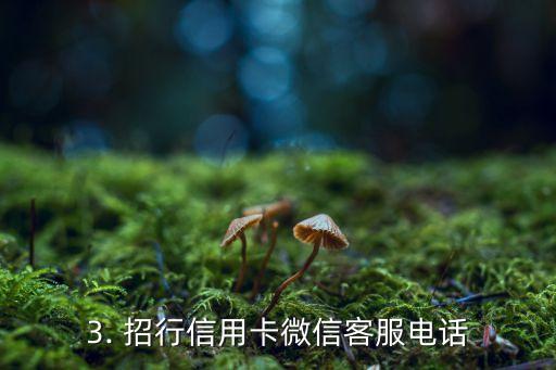 招行信用卡微客服电话，招行信用卡微信客服电话改编新标题