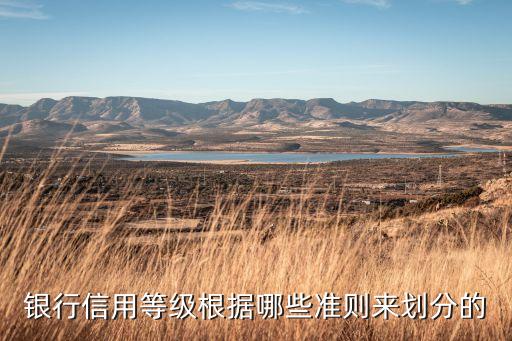 银行信用等级根据哪些准则来划分的