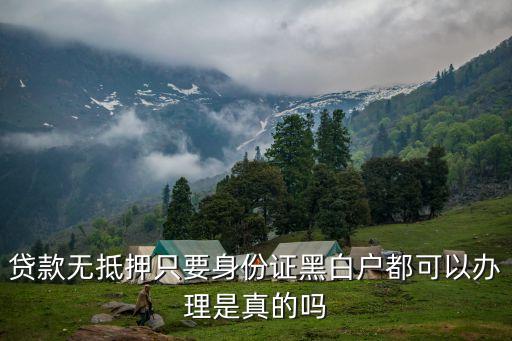 贷款黑白户百分百通过率高吗，贷款无抵押只要身份证黑白户都可以办理是真的吗