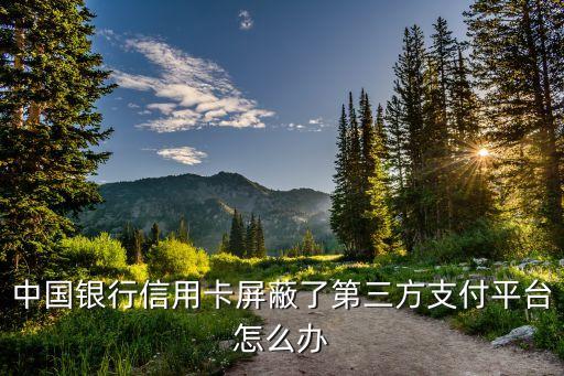 中国银行信用卡屏蔽了第三方支付平台怎么办