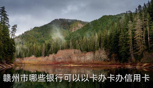 赣州市哪些银行可以以卡办卡办信用卡