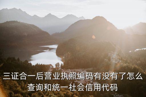 三证合一后营业执照编码有没有了怎么查询和统一社会信用代码