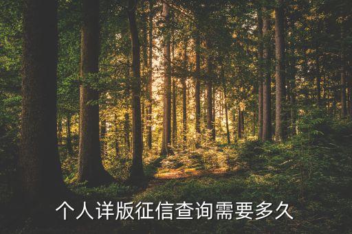 个人详版征信查询需要多久