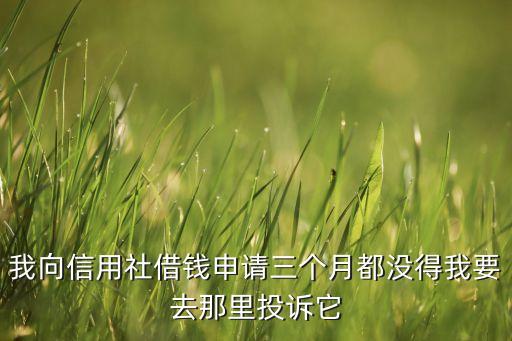 我向信用社借钱申请三个月都没得我要去那里投诉它