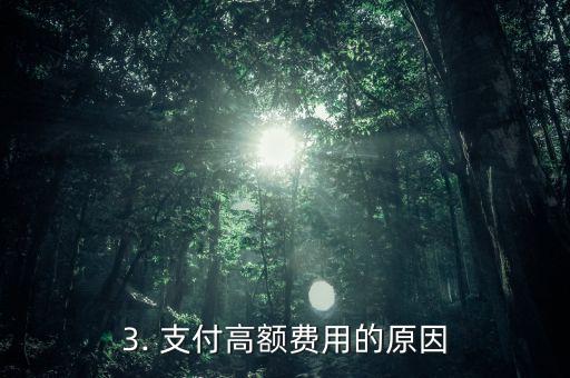 男子信用卡被敲诈，男子信用卡遭遇敲诈，被迫支付高额费用