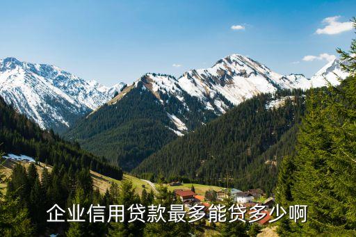 公司信用贷额度多少算高，企业信用贷款额度是多少