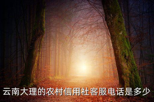 云南大理的农村信用社客服电话是多少