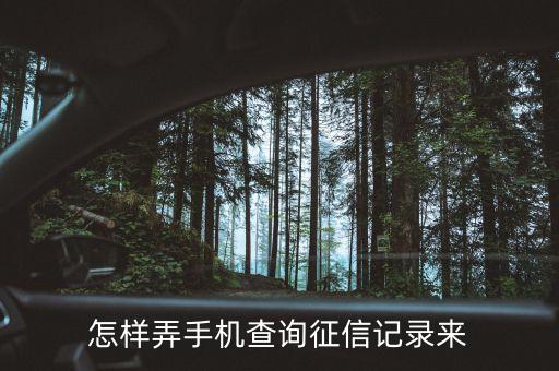 怎样弄手机查询征信记录来