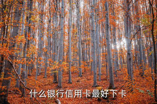 什么银行信用卡最好下卡