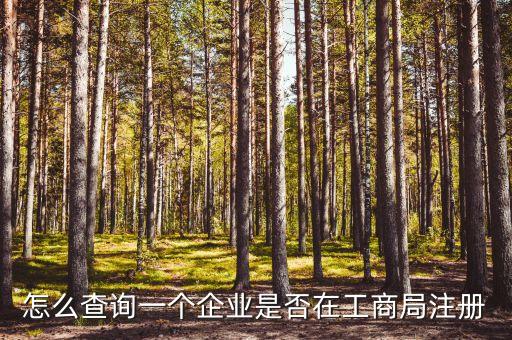 怎么查询一个企业是否在工商局注册