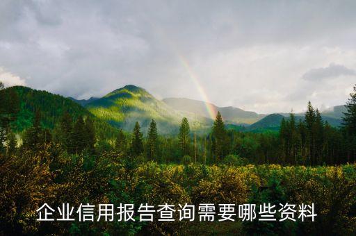 公司征信报告查询要带什么，人民银行查询企业征信报告需要什么资料