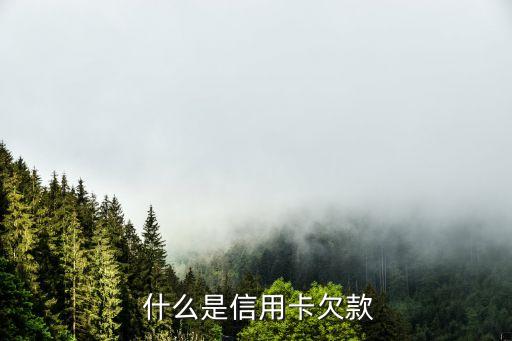 什么是信用卡欠款
