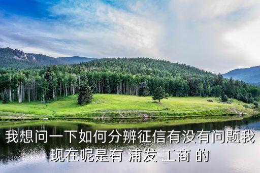 征信报告什么样算没问题，这个征信报告怎么看呀我这个怎么样啊