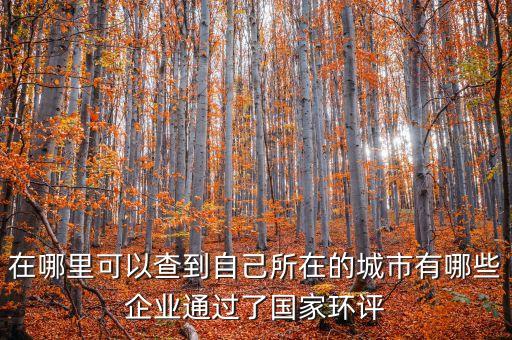 在哪里可以查到自己所在的城市有哪些企业通过了国家环评
