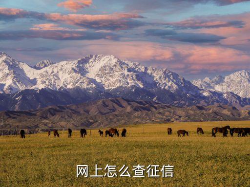 中国征信网个人查询中心，如何查询个人征信